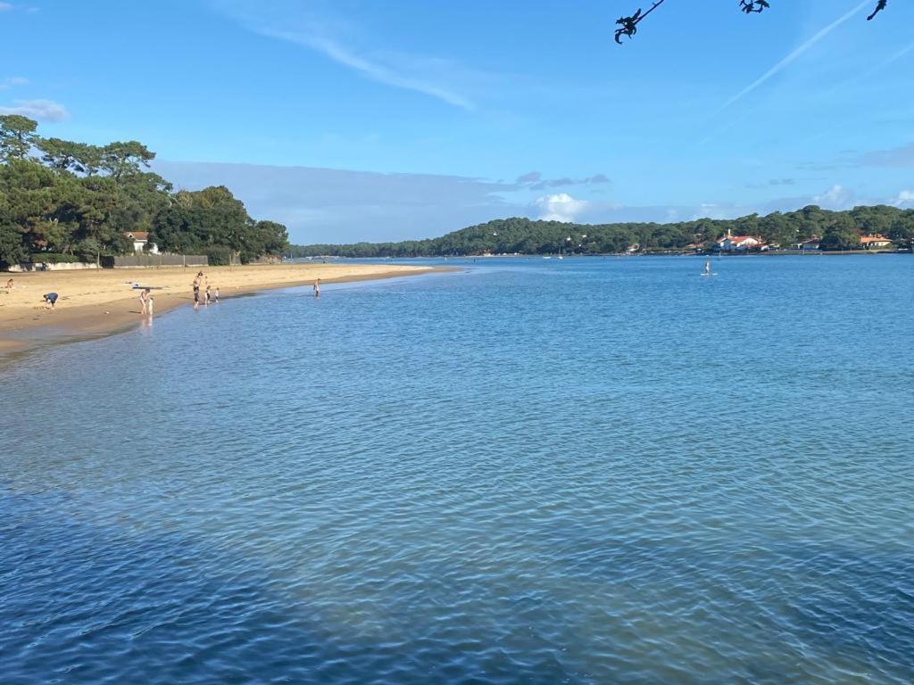 Superbe Appartement Face Au Lac D'Hossegor Soorts-Hossegor Eksteriør billede